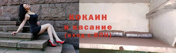 стаф Ельня