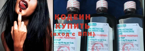 крисы Каменка