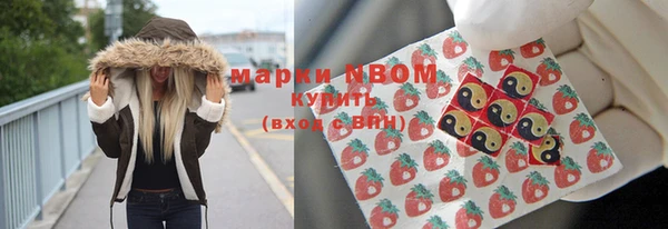 стаф Ельня