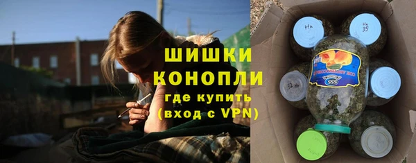 стаф Ельня