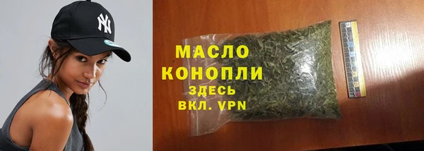 крисы Каменка