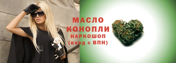 крисы Каменка
