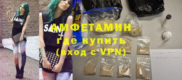 стаф Ельня