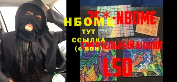 стаф Ельня