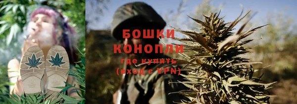 стаф Ельня
