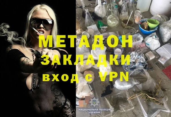 стаф Ельня