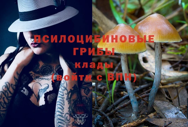 стаф Ельня