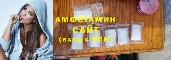 крисы Каменка