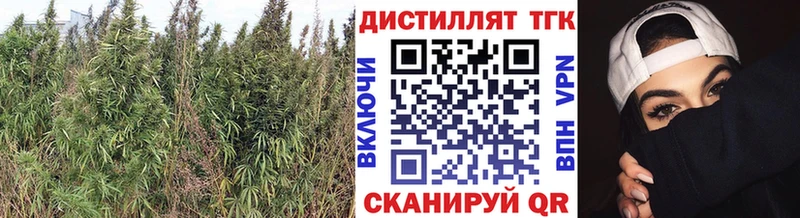 Купить закладки  Качканар  Дистиллят ТГК вейп с тгк 